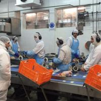 Granja Tres Arroyos: la av�cola m�s grande del pa�s suspendi� su producci�n y los trabajadores denuncian vaciamiento