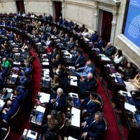 Endeudados y discapacidad: Una sesi�n que pone los pelos de punta a la Rosada