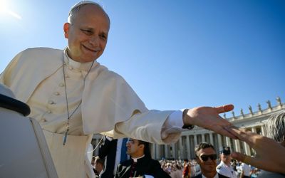 Catequesis de Le�n XIV sobre la Constituci�n pastoral �Gaudium et Spes�