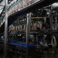 La crisis de Granja Tres Arroyos se espiraliza y ahora propone pagar el sueldo con pollos a los empleados de su planta de Pilar