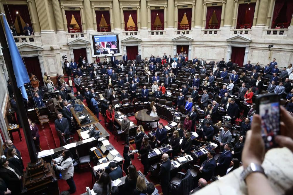 Discapacidad: los cambios que reclaman Pro y la UCR, el punto que no quiere ceder Milei y el proyecto de la oposici�n