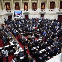 Discapacidad: los cambios que reclaman Pro y la UCR, el punto que no quiere ceder Milei y el proyecto de la oposici�n