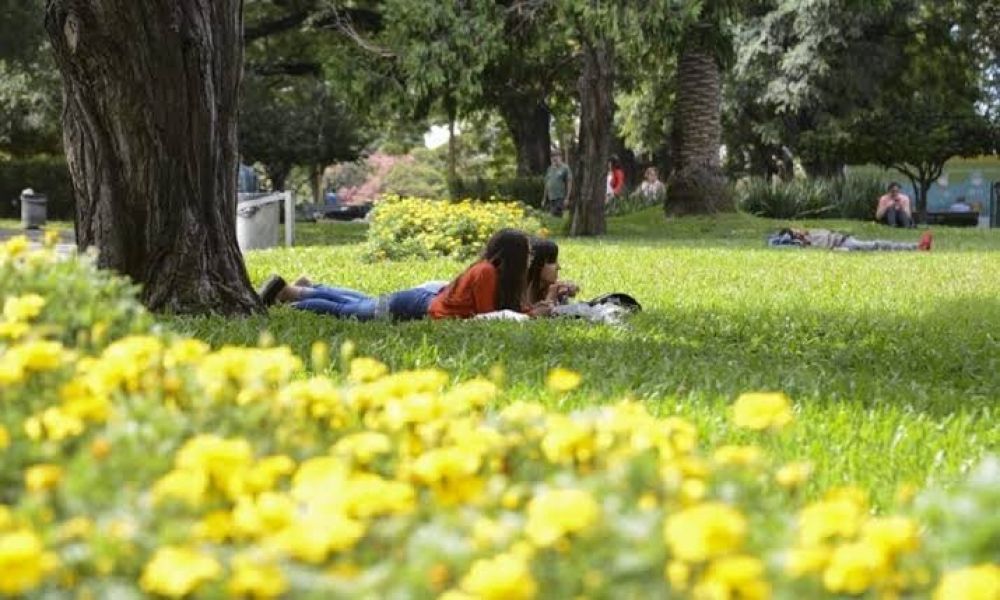 Primavera 2026: el consumo se mueve al aire libre y los precios suben hasta 50%