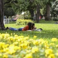Primavera 2026: el consumo se mueve al aire libre y los precios suben hasta 50%