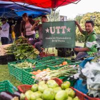 Los que producen alimentos se endeudan para comer: tres de cada cuatro familias campesinas del cintur�n hort�cola platense est�n en rojo