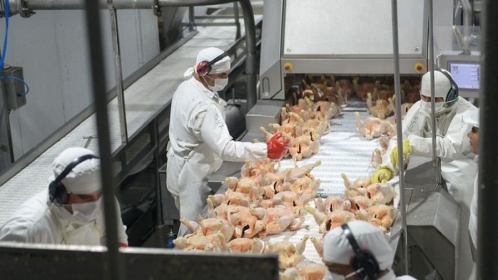 Alimentaci�n cerr� la paritaria av�cola con una suba salarial del 1,90% remunerativo para septiembre