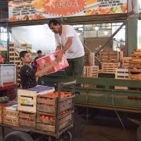 Trabajadores del hielo cobrar�n un bono de $ 1.160.000 en cuotas