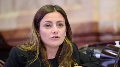 Siley present� un proyecto para derogar el FAL: 