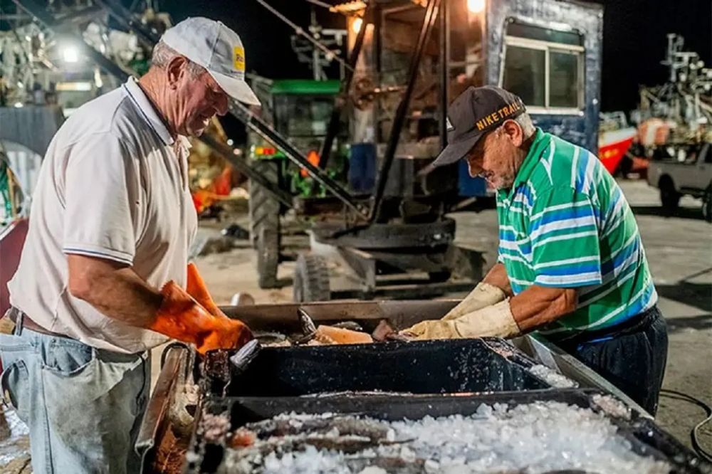 Los desaf�os de envejecer en Argentina: brecha previsional, alquileres en alza y r�cord de empleo en la vejez