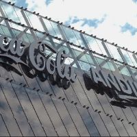 Embotelladora Andina distribuir� dividendo provisorio