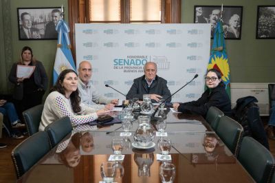 La agenda sanitaria de Kicillof sali� del freezer legislativo y avanz� en el Senado
