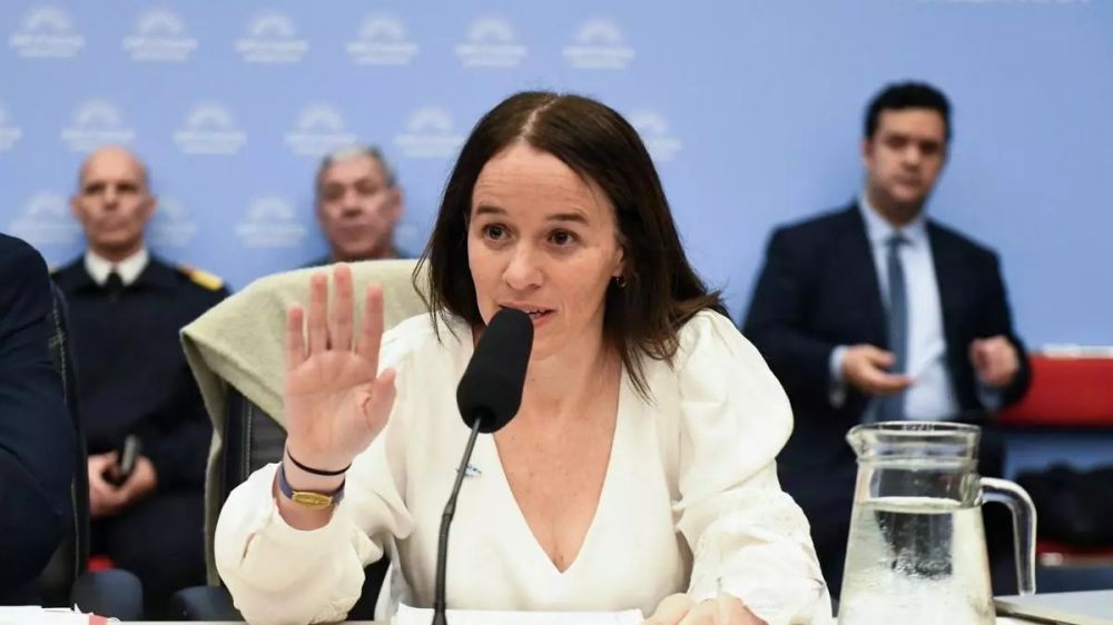 El Gobierno defendi� el proyecto que habilita sanciones sin juicio previo y persigue �campa�as de desinformaci�n�