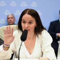 El Gobierno defendi� el proyecto que habilita sanciones sin juicio previo y persigue �campa�as de desinformaci�n�
