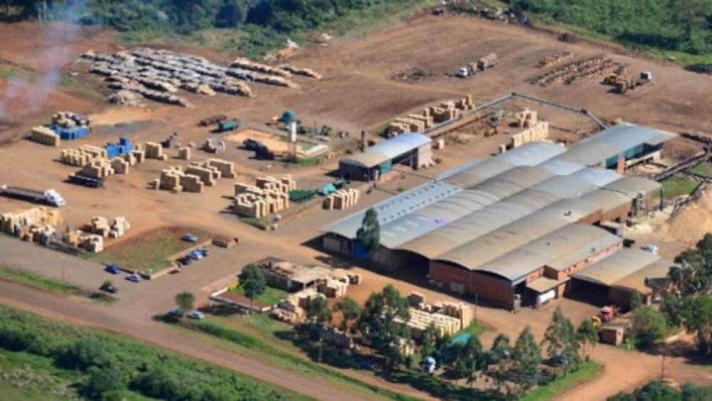 La quiebra del aserradero Linor en Misiones dej� a 130 trabajadores sin empleo que reclaman salarios e indemnizaciones