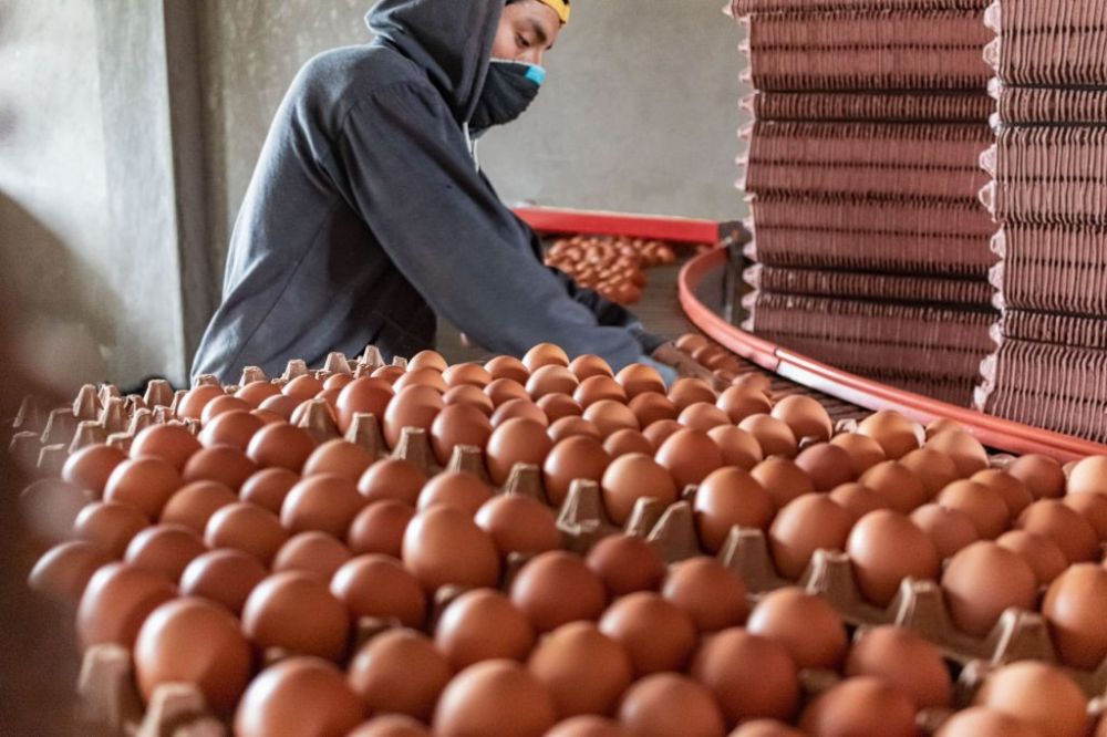 Alimentaci�n: FTIA una recomposici�n salarial para trabajadores de la industria del huevo