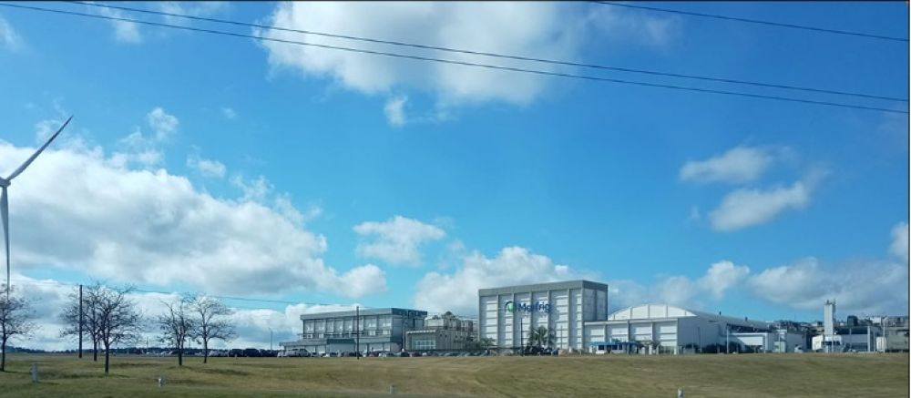 Uruguay: Marfrig mantiene en suspenso los despidos en Frigor�fico Tacuaremb�
