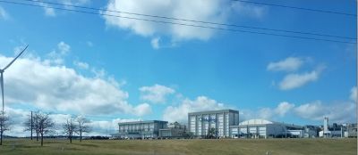Uruguay: Marfrig mantiene en suspenso los despidos en Frigor�fico Tacuaremb�