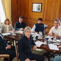 Siguen los cortocircuitos entre Milei y sus diputados por el proyecto de discapacidad que se consensu� con los aliados