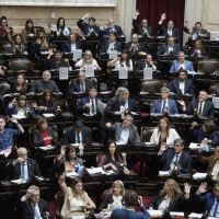 Discapacidad: El oficialismo tuvo que dar marcha atr�s para evitar otra derrota