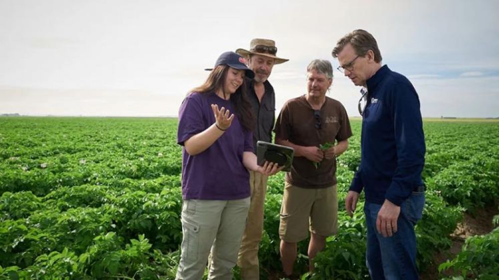 Canad� (Alberta): PepsiCo muestra c�mo combina inteligencia artificial y agricultura regenerativa en la producci�n de papa