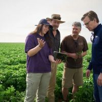 Canad� (Alberta): PepsiCo muestra c�mo combina inteligencia artificial y agricultura regenerativa en la producci�n de papa