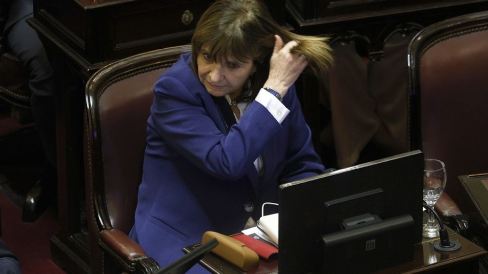 Estall� el bloque libertario en el Senado: Karina quiere sacarle a Patricia Bullich la jefatura de la bancada