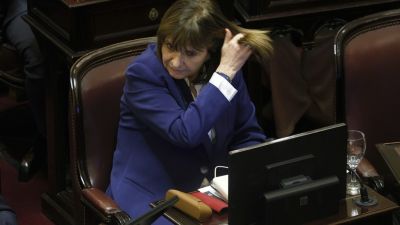 Estall� el bloque libertario en el Senado: Karina quiere sacarle a Patricia Bullich la jefatura de la bancada