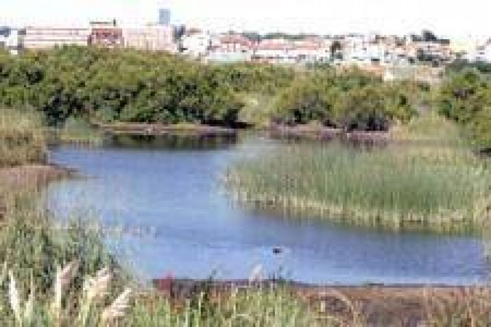 �Un play�n de contenedores?