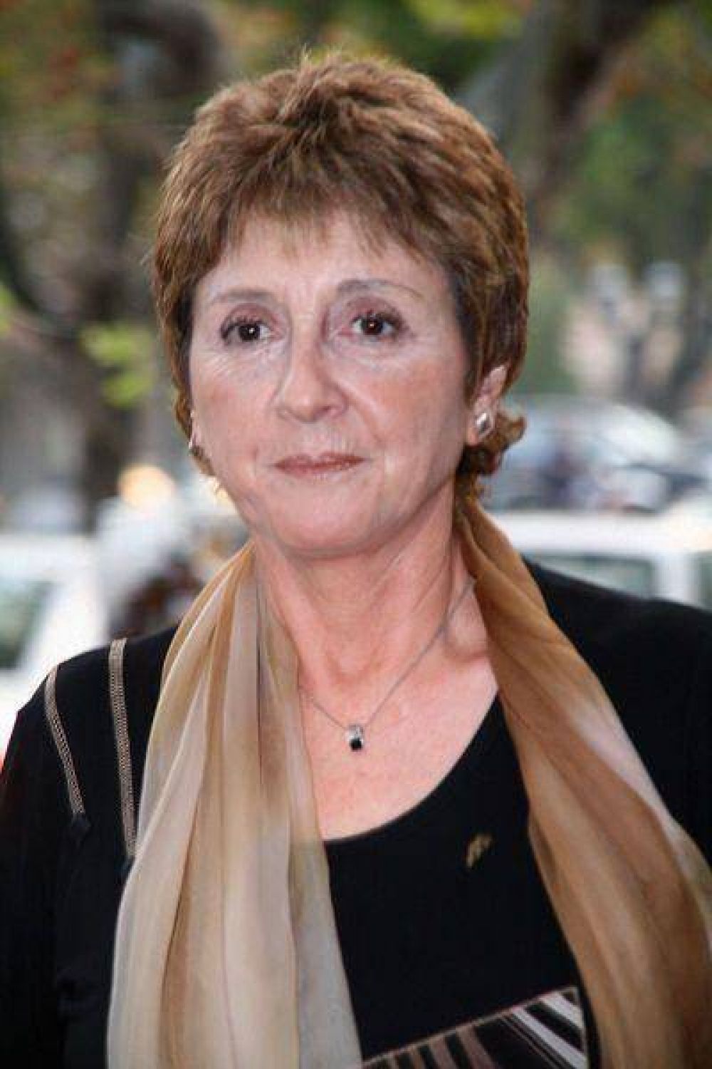 Rasino ser�a la nueva ministra de Desarrollo Social