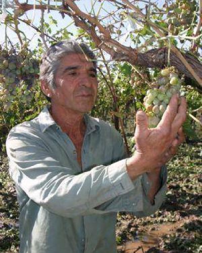 Ayuda nacional por granizo a 3 mil productores