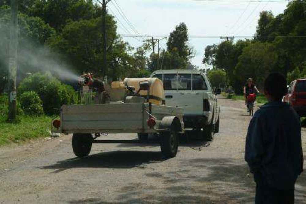 Dengue: Piden extremar medidas preventivas