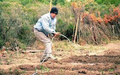 Guinle gestiona modificaciones que disminuyan el costo del agua