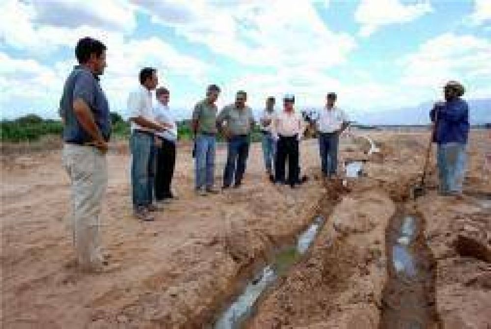 Impulsan novedoso proyecto para la producci�n de alfalfa