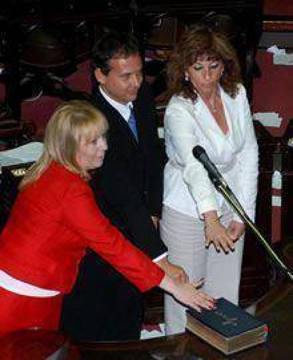 Juraron los diputados de Santa Cruz 