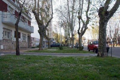 Vecinos de Libertad amenazan con atarse a los �rboles como protesta