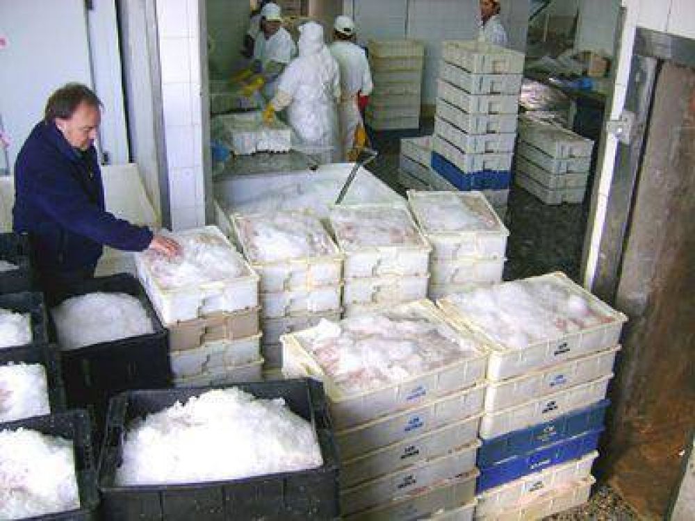 Decomisaron 600 cajones de merluza entera en estado de descomposici�n