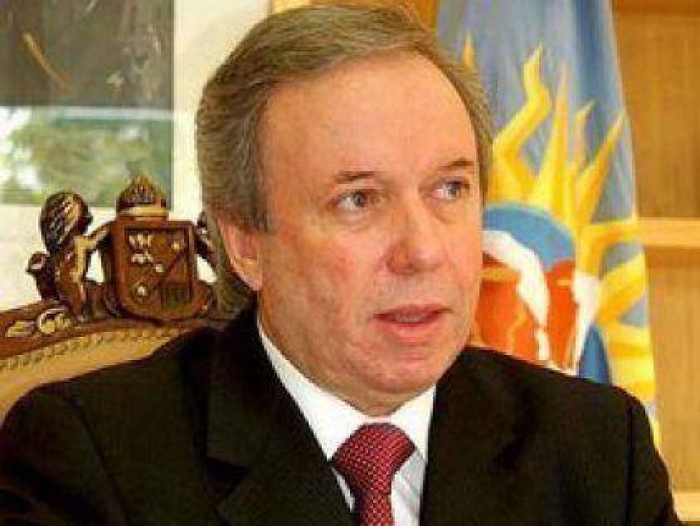 El Gobernador de Santa Cruz cr�tico a Binner