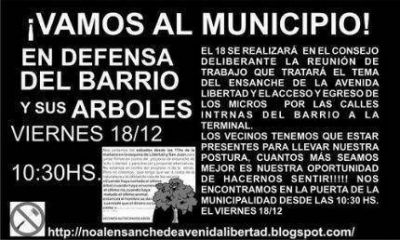 Debaten en el Concejo ampliaci�n de la Avenida Libertad y vecinos tratan de salvar sus �rboles