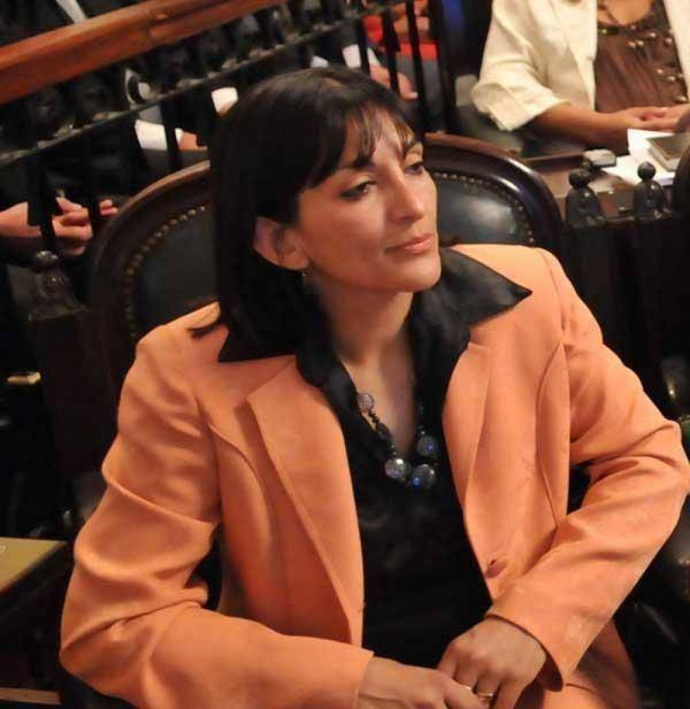 El alperovichismo defendi� la pr�rroga de la emergencia econ�mica
