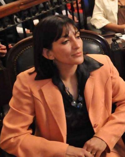 El alperovichismo defendi� la pr�rroga de la emergencia econ�mica