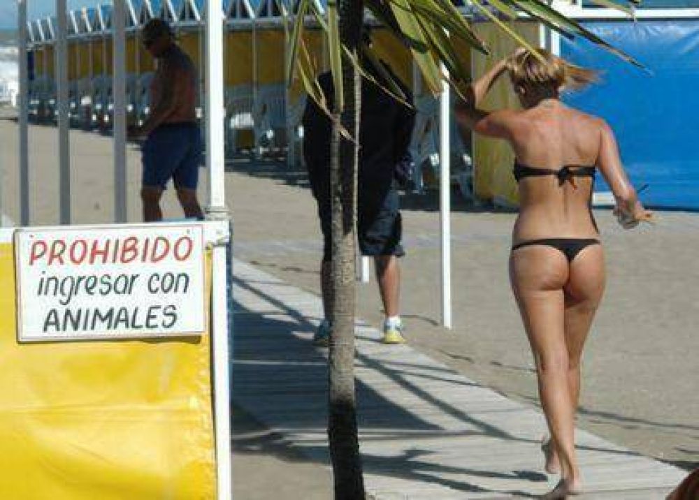 Se necesitan $8 mil para veranear en familia diez d�as en la costa