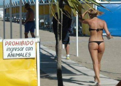 Se necesitan $8 mil para veranear en familia diez d�as en la costa