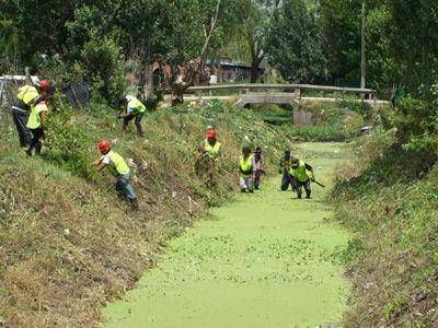 Avanzan trabajos de limpieza en el arroyo "Las Chacras
