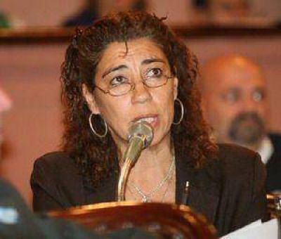 Diputada rechaza extender el alcance de la Cafesg 