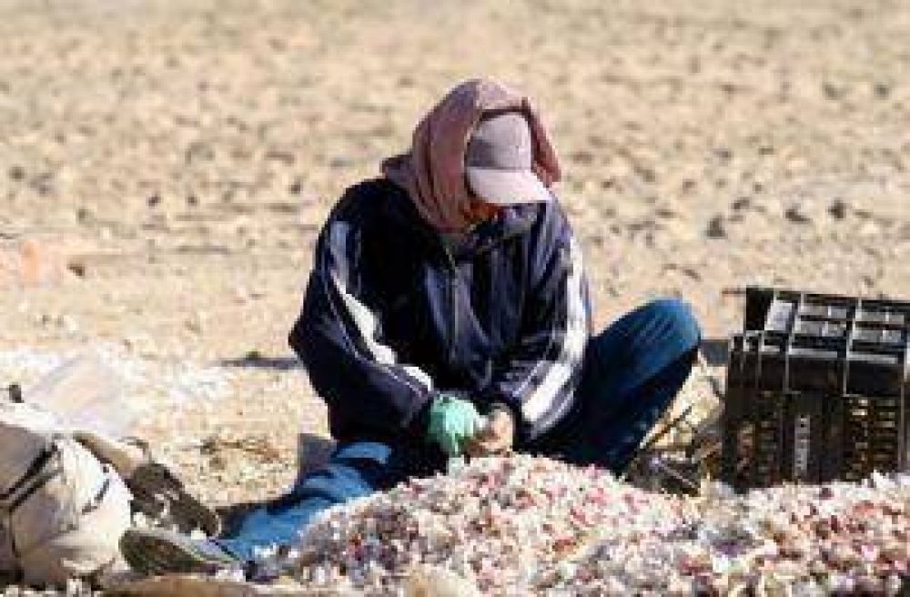 El ajo de exportaci�n duplic� su precio