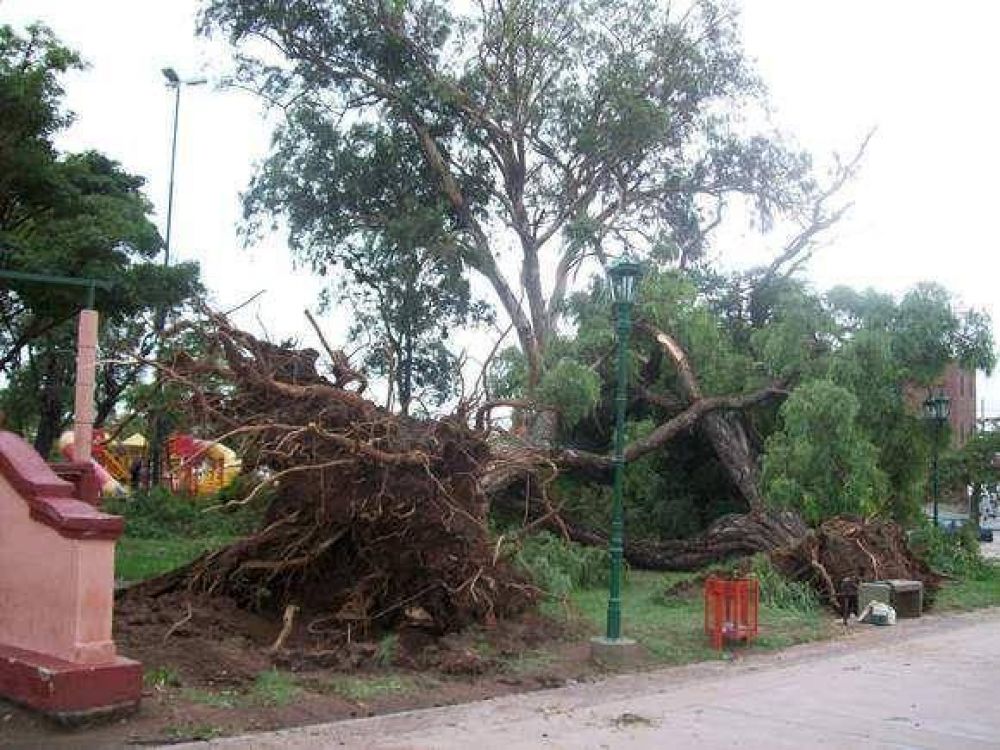 Recuperaci�n: Luego de la �ltima tormenta en la Capital se recogen por d�a 240 mil kilos de basura  	 