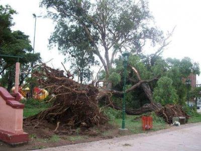 Recuperaci�n: Luego de la �ltima tormenta en la Capital se recogen por d�a 240 mil kilos de basura  	 