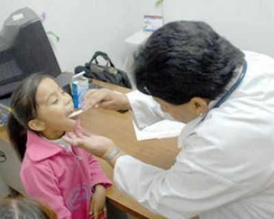 Dengue: aconsejan concurrir al m�dico ante s�ntomas febriles