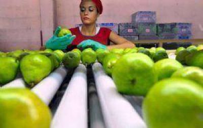 Cae la cosecha de frutas aunque hay m�s hect�reas cultivadas