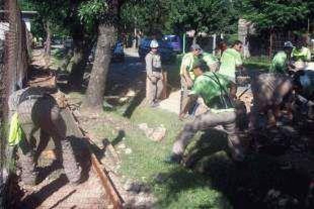 El trabajo de las cooperativas de Tigre